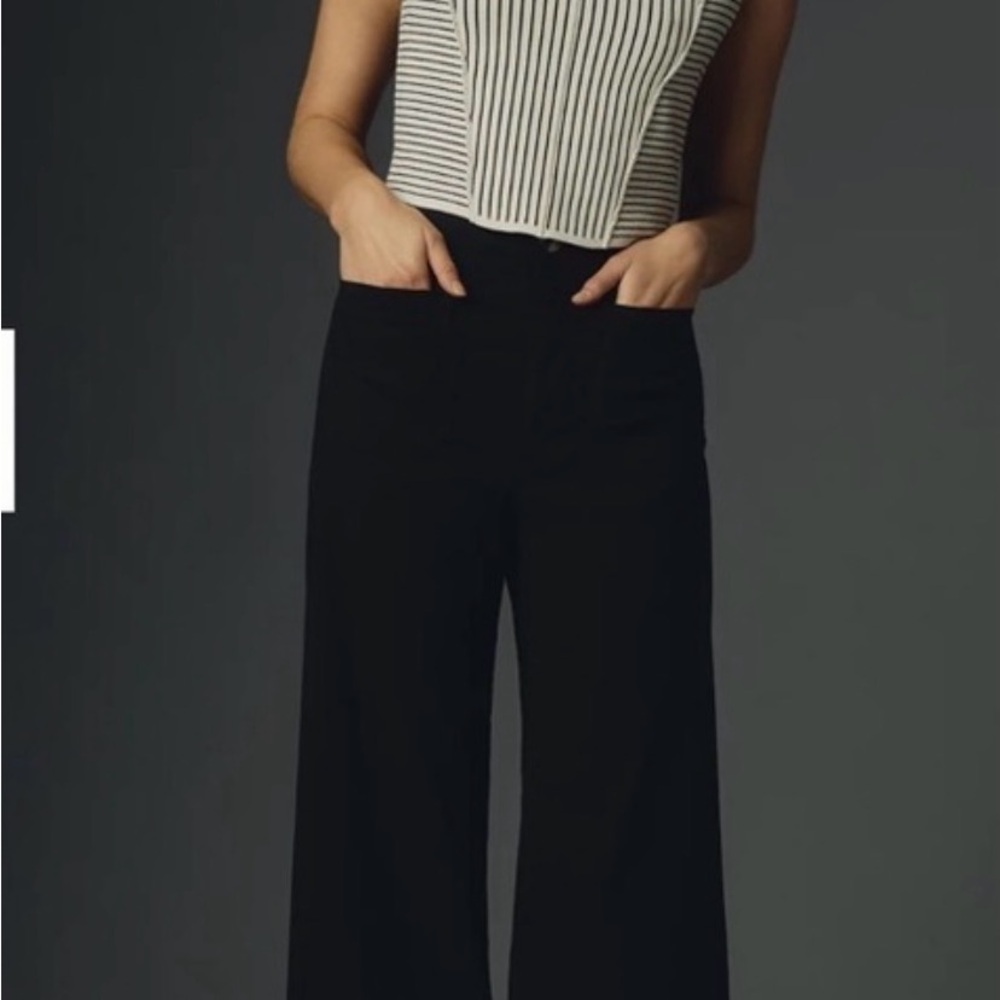 Anthropologie Maeve Colette Cropped Wide Leg  Size 32 NWT